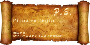 Pilischer Sejla névjegykártya